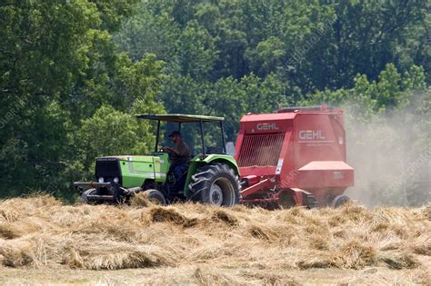 Harvesting Hay - Stock Image - C001/7851 - Science Photo Library