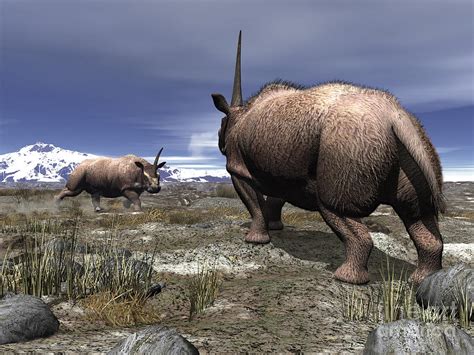 A Pair Of Male Elasmotherium Confront Digital Art by Walter Myers - Fine Art America