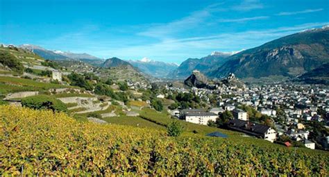 Swiss wine regions | Decanter China 醇鉴中国