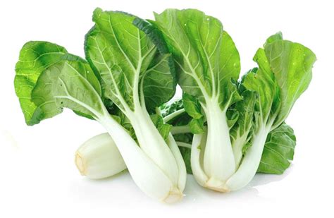 Bok Choy -MitroFresh