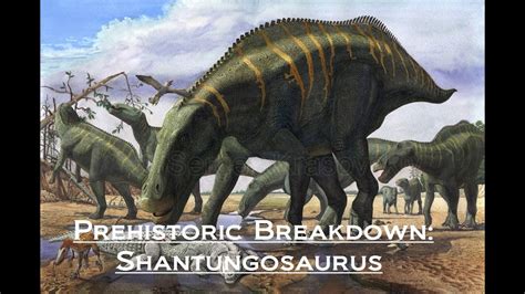 Prehistoric Breakdown: Shantungosaurus - YouTube