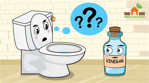 Will Cleaning Toilet Bowls with Vinegar Cause Damage? | Make Home Good