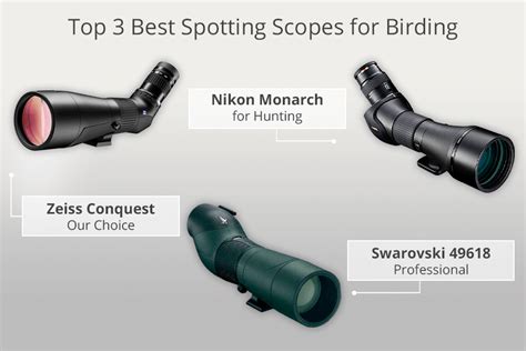 9 Best Spotting Scopes for Birding in 2024