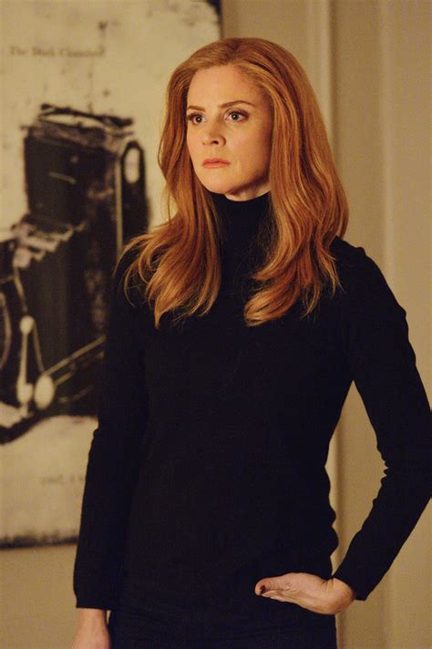 Donna Paulsen | Suits Wiki | FANDOM powered by Wikia