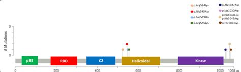 PIK3CA protein and missense mutation overview | Download Scientific Diagram