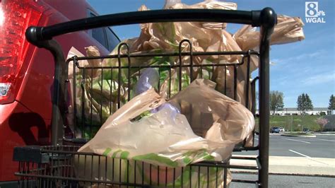 Wegmans grocery stores in Pennsylvania stop using plastic bags