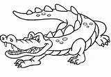 Crocodile Coloring Pages  Free Printable For Kids sketch template