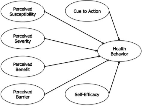 The Health Belief Model. | Download Scientific Diagram