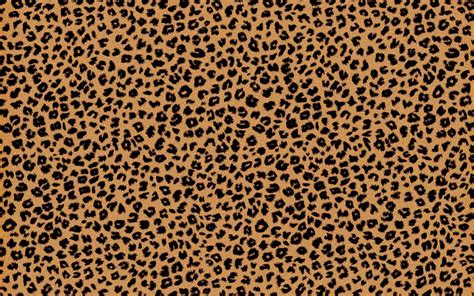 🔥 [0+] Cheetah Backgrounds | WallpaperSafari