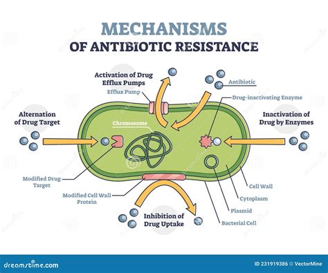 Antibiotic Resistance Concept. Bacteria Resistant To Drug Vector ...