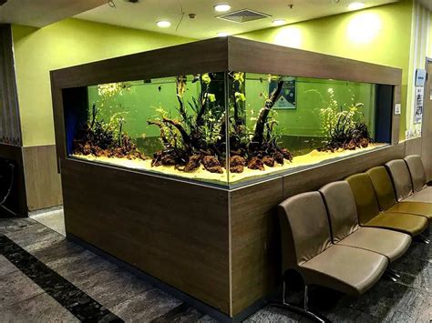 Pin de towari em Aquarium | Ideias para aquário, Aquário doméstico, Aquapaisagismo