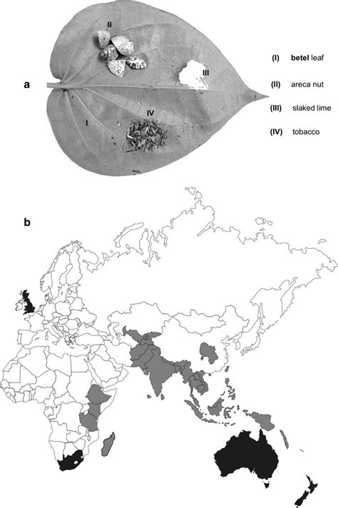 The major ingredients of betel quid and regions where betel quid ...