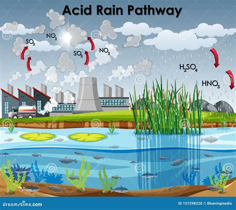 Acid Rain. Water Cycle Vector Illustration | CartoonDealer.com #148225260