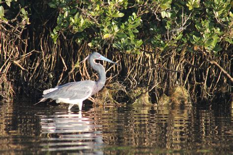 Photo Gallery | Aransas Pass, TX