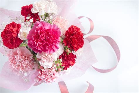 January Flower Lore | January flower, Flower arrangements simple, Flowers for each month