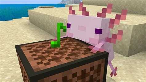 Axolotl Minecraft - 30 Things You Didn T Know About Axolotls In Minecraft Youtube - elcurriculoytic