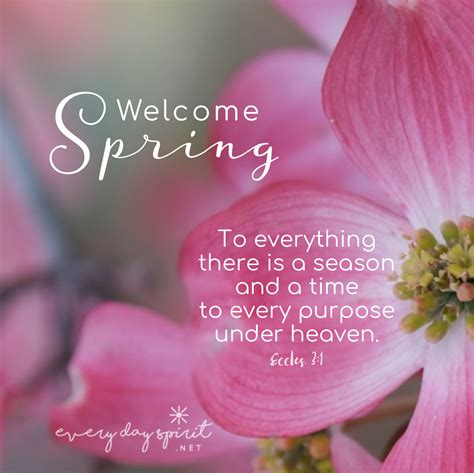 Happy Spring. May your soul bloom. xo Every Day Spirit: A Daybook of ...