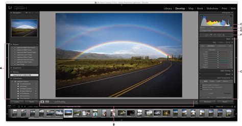 Work with the Develop module in Lightroom Classic