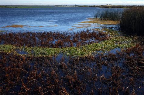 Bay Area Outdoors: 5 parks and nature preserves to explore this autumn – East Bay Times