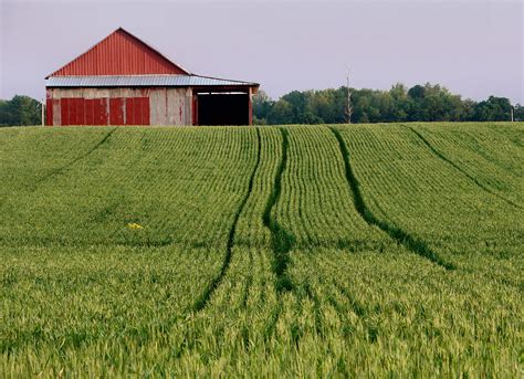 Monoculture vs. Polyculture | Urban Agriculture in the Upper Midwest Wiki | Fandom