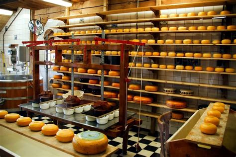 Free picture: cheese factory, cheese, products