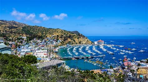 Visit Avalon: 2024 Travel Guide for Avalon, California | Expedia