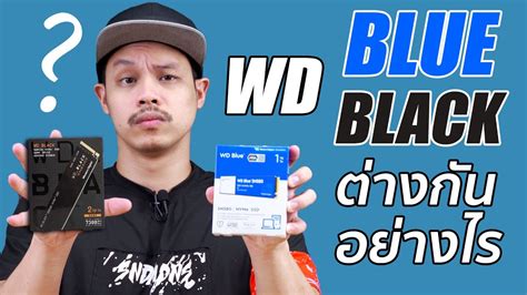 WD Blue กับ WD Black ต่างกันอย่างไร เลือกแบบไหนถึงจะเหมาะ ? - YouTube