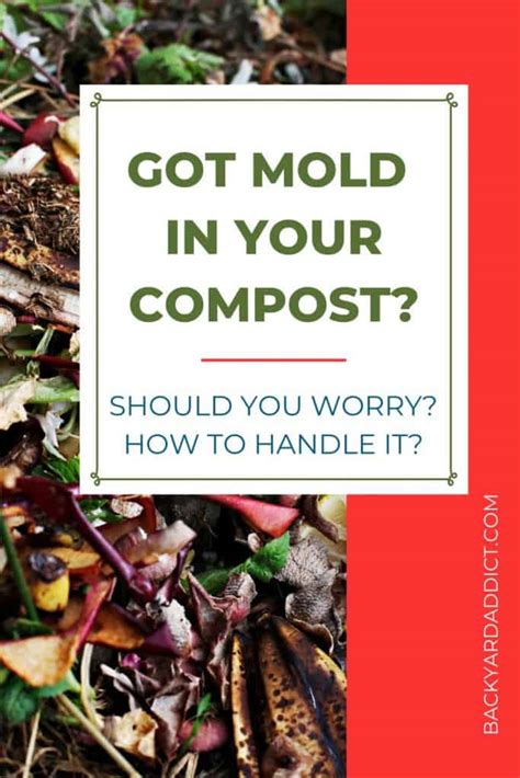 Mold in Compost: Should You Worry? How to Handle It. | Backyard Addict