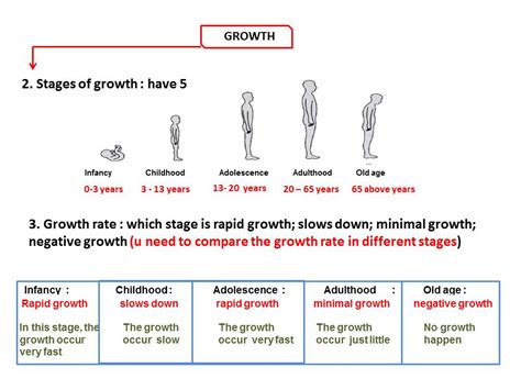 5.1 - Analysing the pattern of human growth.