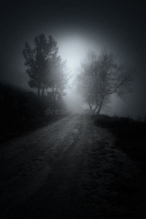 Mountain road at night stock image. Image of curve, asphalt - 30239463