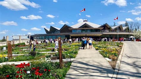 The Stratford Festival: Everything You Need to Know About One of Canada's Most Iconic Arts ...