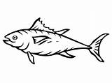 Tuna Fish Coloring Sheets Pages sketch template