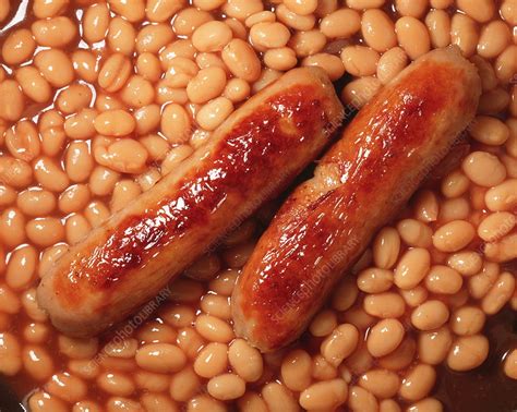 Sausage and beans - Stock Image - H110/0594 - Science Photo Library