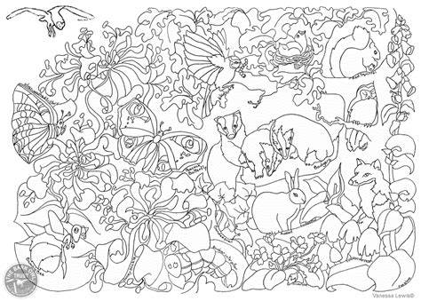 Wild Animals Colouring Pages