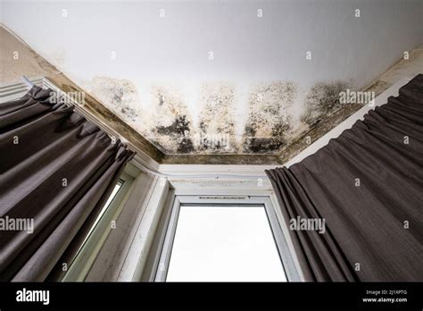 Mold on damp walls hi-res stock photography and images - Alamy