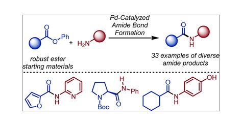 A Cross-Coupling Approach to Amide Bond Formation from Esters | ACS ...