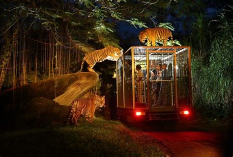 Singapore Zoo tips & guide — Some experiences and useful tips for ...