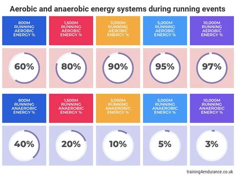 What is Endurance? Definition, Training and Fitness