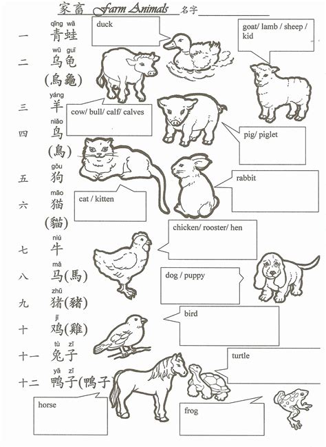 Diy 30 Discover Learning Chinese Worksheets – Simple Template Design