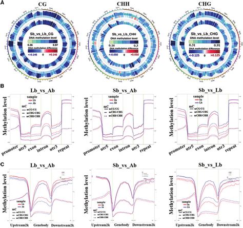 Comparative analysis of DNA methylation levels in different genomic... | Download Scientific Diagram