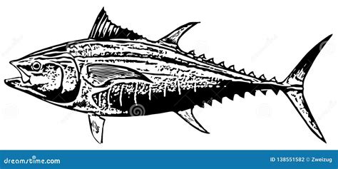 Bluefin-tuna Cartoon Vector | CartoonDealer.com #29701069