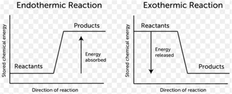 7 Difference Between Exothermic And Endothermic Reaction (With Examples) - VIVA DIFFERENCES