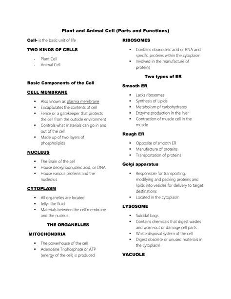 Plant and Animal Cell (Parts and Functions) - Studocu