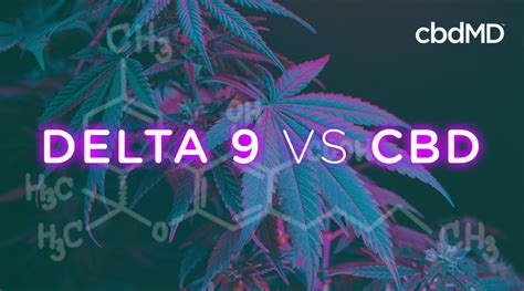 What is Delta 9 THC? CBD vs. Delta 9 | cbdMD