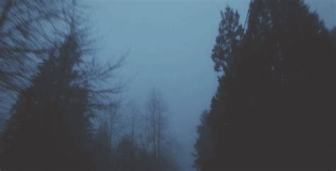 forest gifs Page 6 | WiffleGif