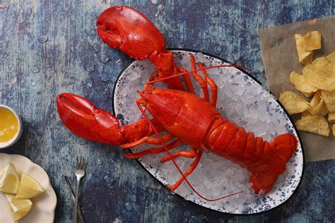 Maine Lobster 3lb (Hard Shell) - Pine Tree Seafood