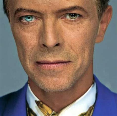 155 best Bowie and Lexi images on Pinterest | Planet earth, Artists and ...