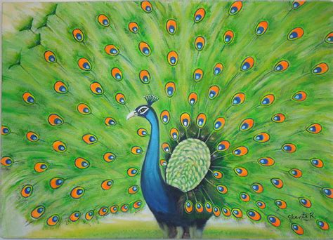 Indian Peacock Painting by Shanta Rathie - Fine Art America