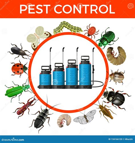 Pest control concept stock vector. Illustration of design - 134166120