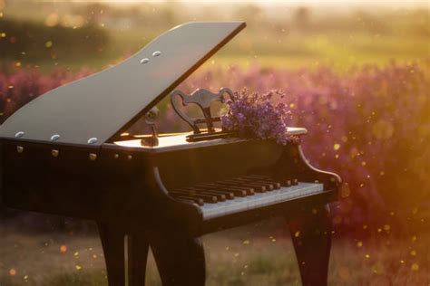 6,200+ Piano In Nature Stock Photos, Pictures & Royalty-Free Images - iStock